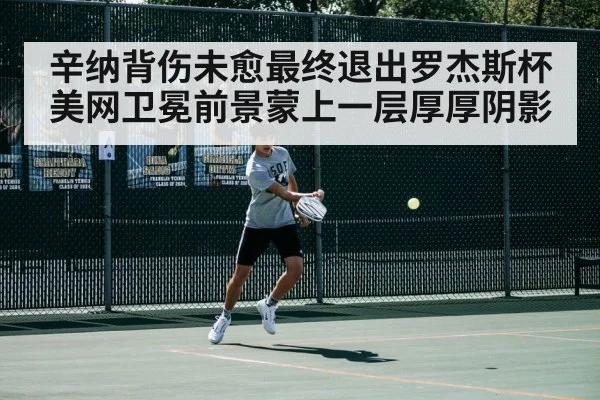 辛纳背伤未愈最终退出罗杰斯杯美网卫冕前景蒙上一层厚厚阴影